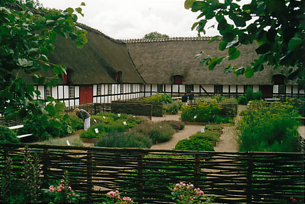 fuenen