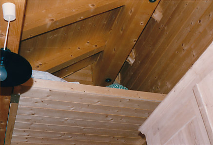 Holzhaus