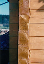 Holzhaus