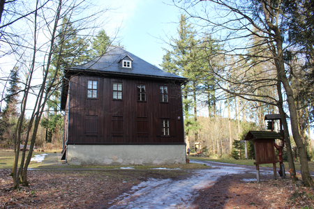 Wald im Wandel