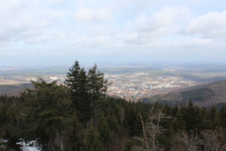 waldimwandel